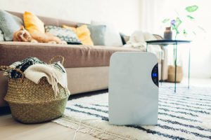 Indoor air purification system in a house in Marion County, Florida