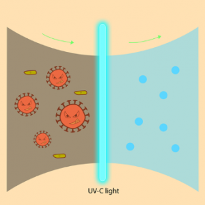 UV sanitation light for an air purification system