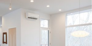 Ductless mini split air conditioner in Marion County, Florida