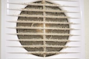 Air duct cleaning company in Palm City Florida